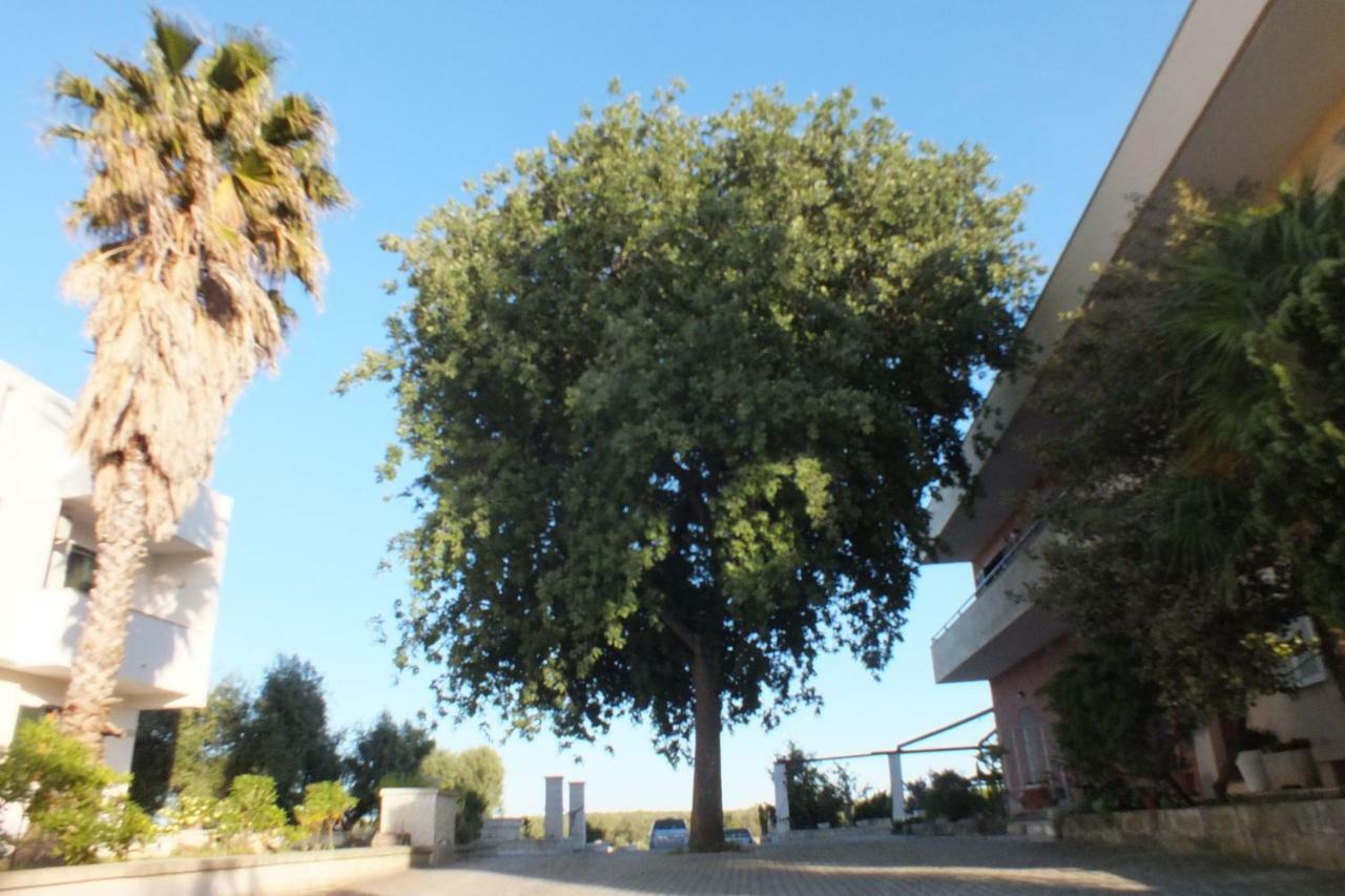 La Vallonea Casamassella エクステリア 写真