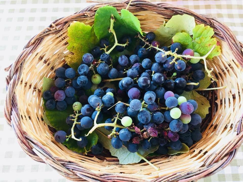 La Vallonea Casamassella エクステリア 写真